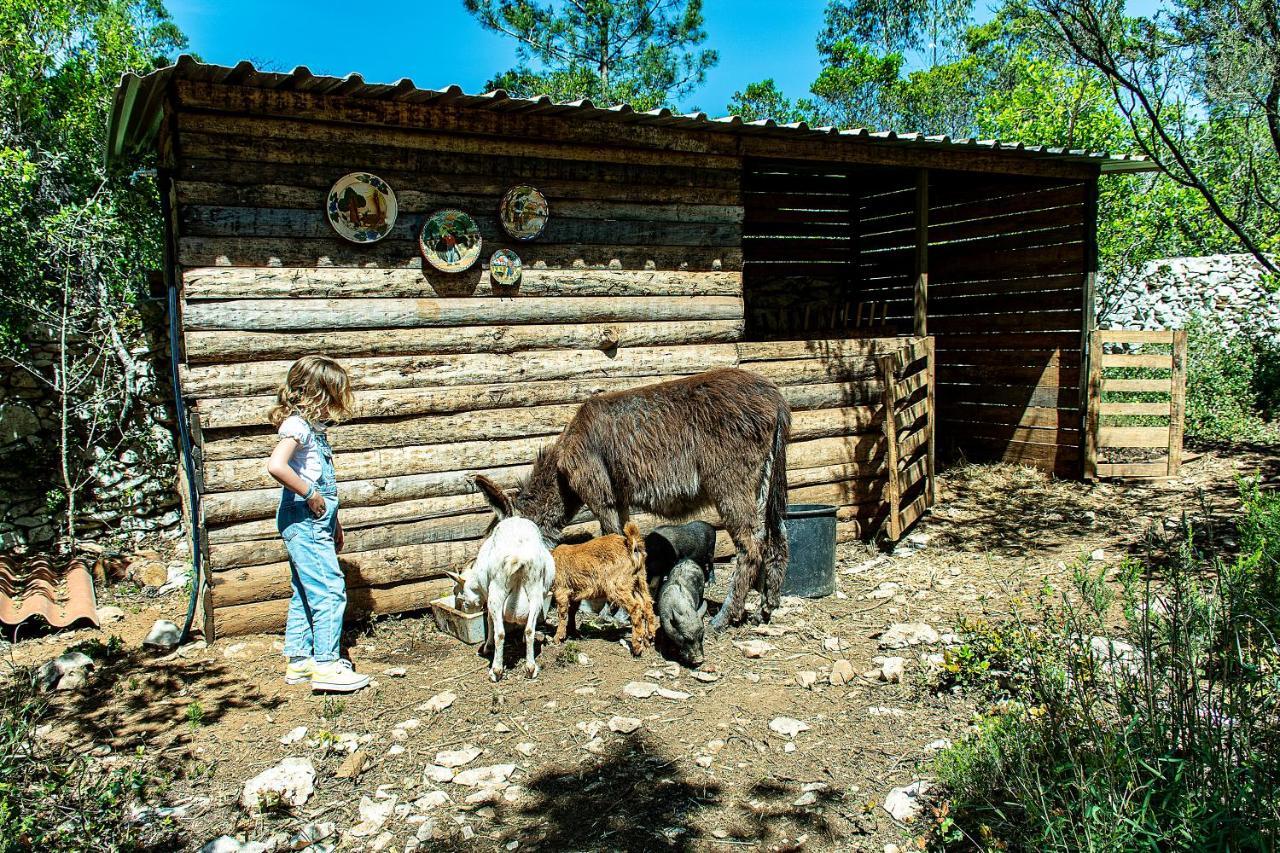 Casal Das Fontainhas Alcobaca Exterior photo